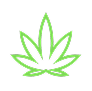Cannabis Leaf